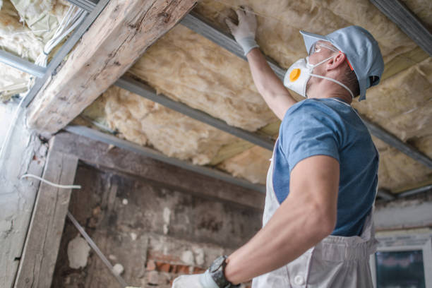 Best Spray Foam Insulation in Wilmer, TX
