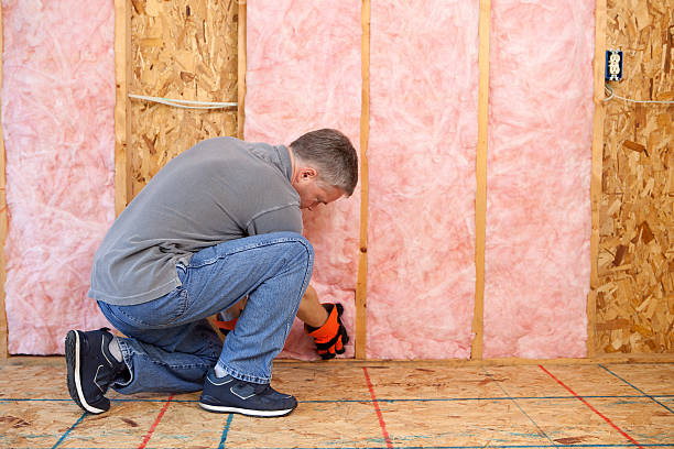 Best Eco-Friendly Insulation in Wilmer, TX