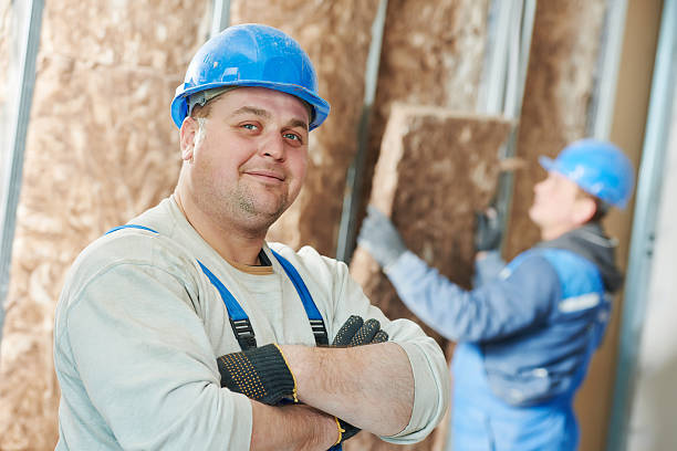 Best Geographic-Specific Insulation Services in Wilmer, TX